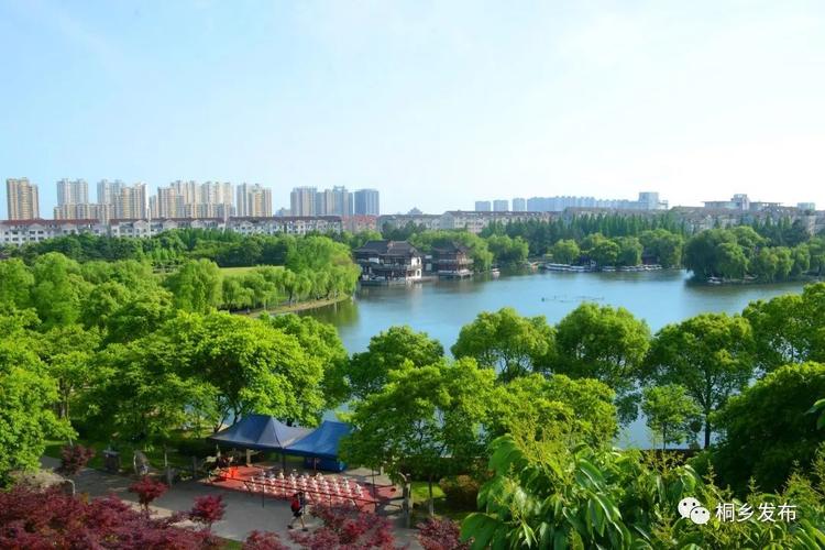 省专家组肯定桐乡城市园林绿化建设成果！未来值得期待的是……
