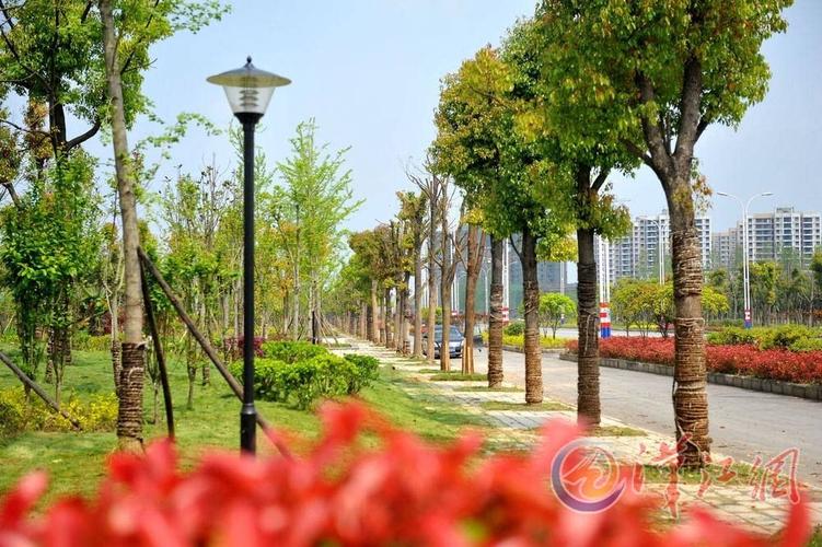 襄阳:老河口市创建国家级园林城市纪实