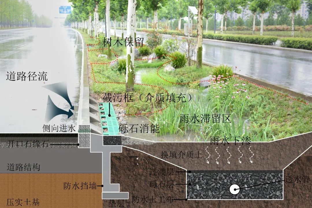 西咸新区沣西新城参编的《海绵城市绿地生物滞留设施渗滤介质施工技术规范》省级地方标准获批发布