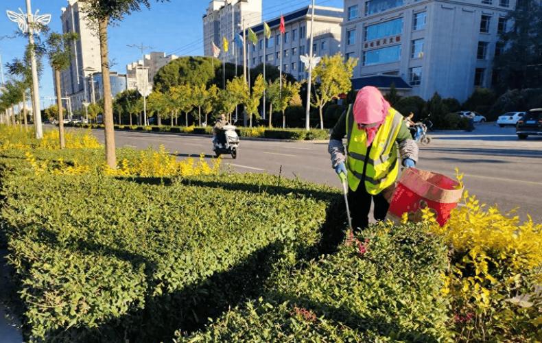 高台县城市园林绿化局清理绿化带垃圾守护城市"绿色风景线"