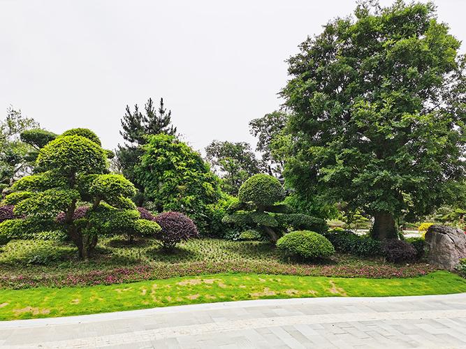 庭院景观绿化庭院景观绿化庭院景观绿化苗木销售空中花园坡道天棚工程